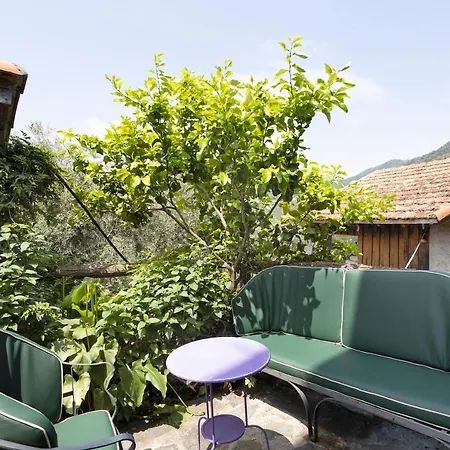 Cactus House Апартаменты