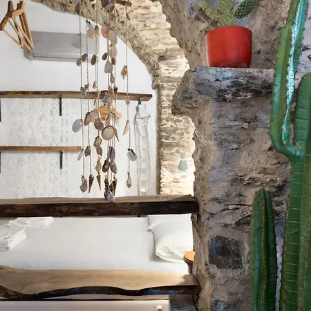 Daire Cactus House