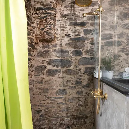 Cactus House Daire