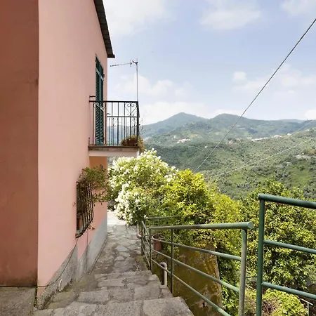 Cactus House Daire La Spezia