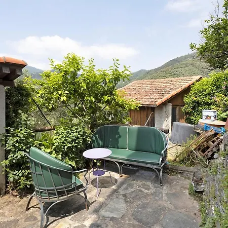Cactus House