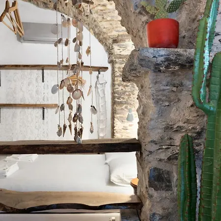 Cactus House *
