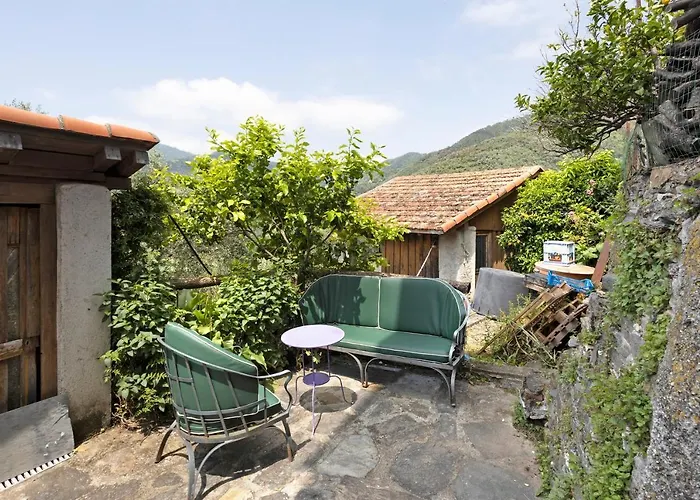 Cactus House